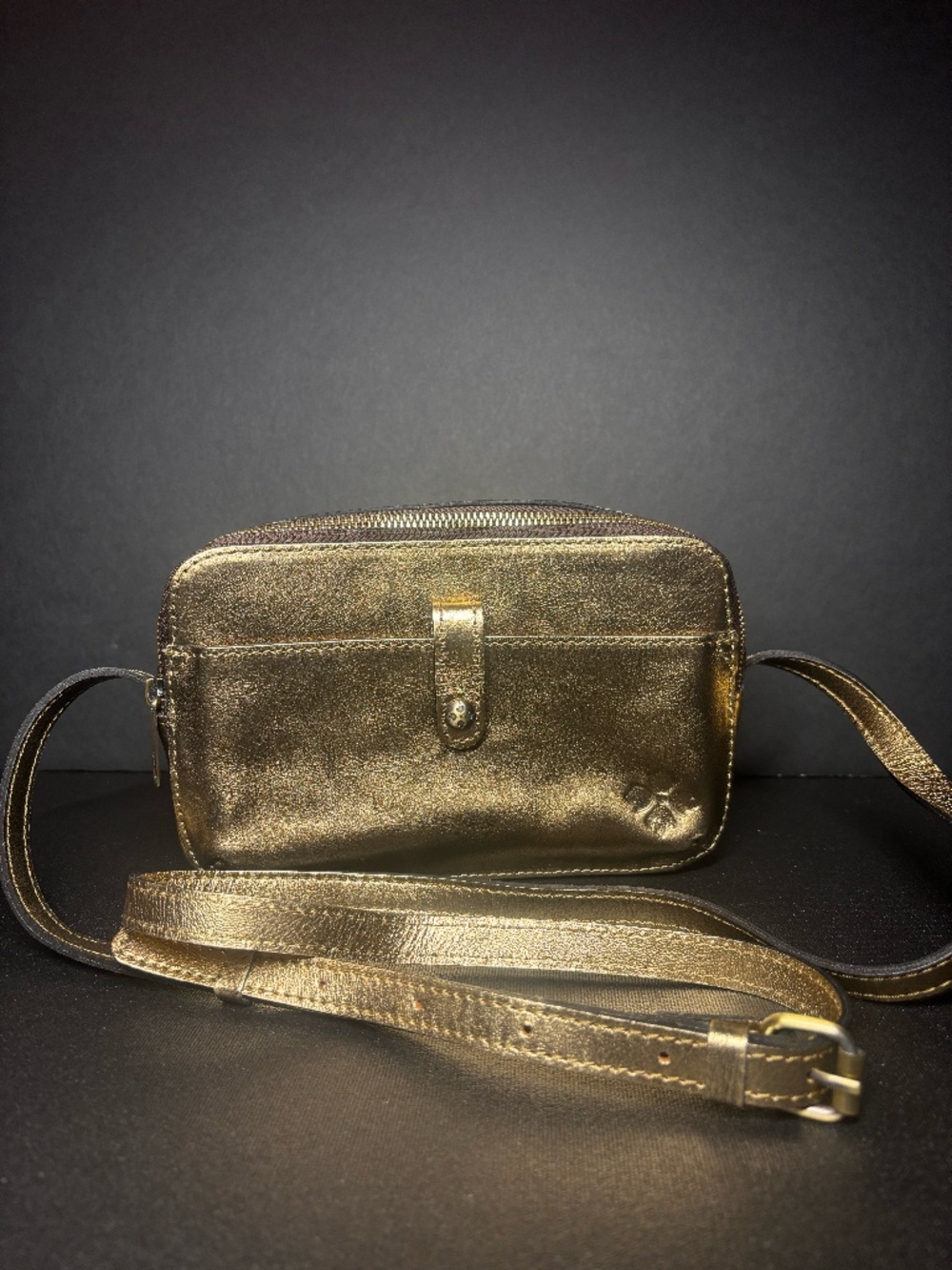 Patricia Nash Alessia Metallic Antique Gold Leather Organizer Camera Crossbody